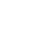 B.C. Rich